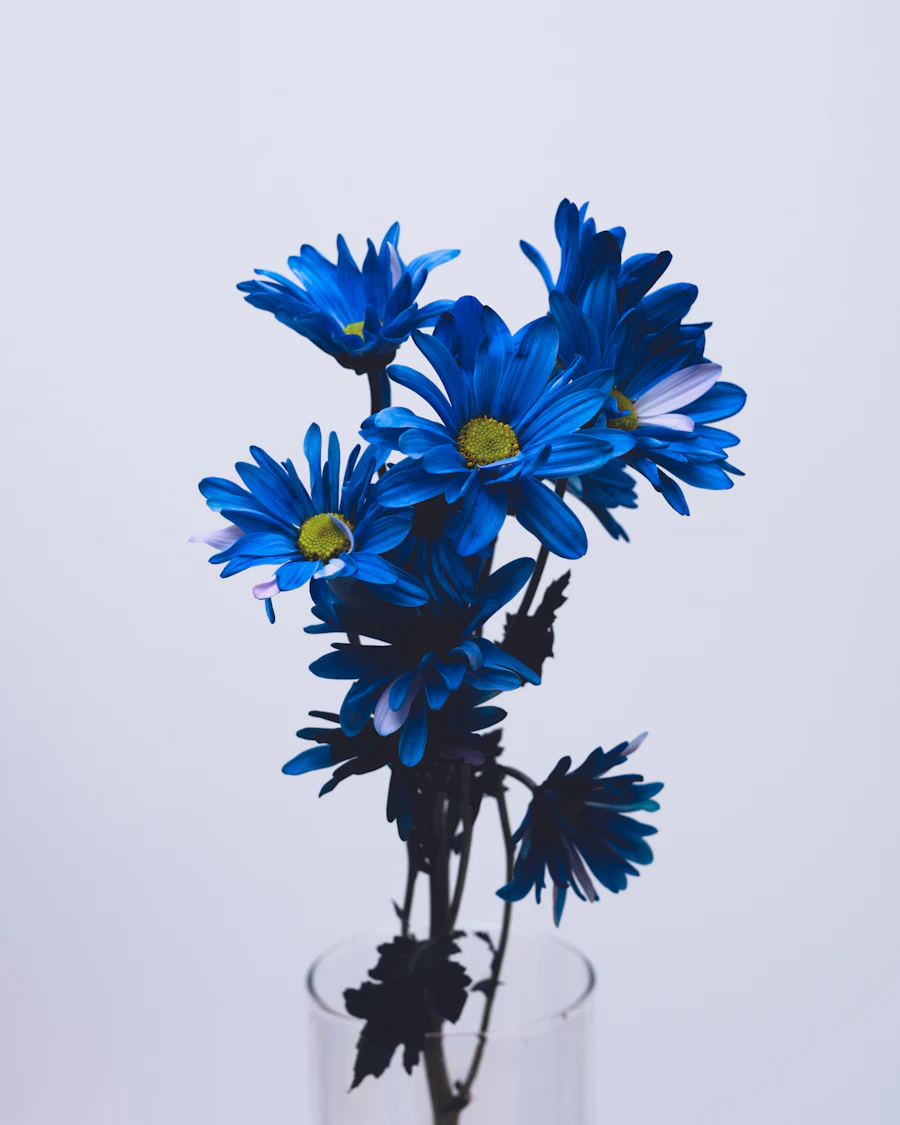 Blue daisy-like flowers