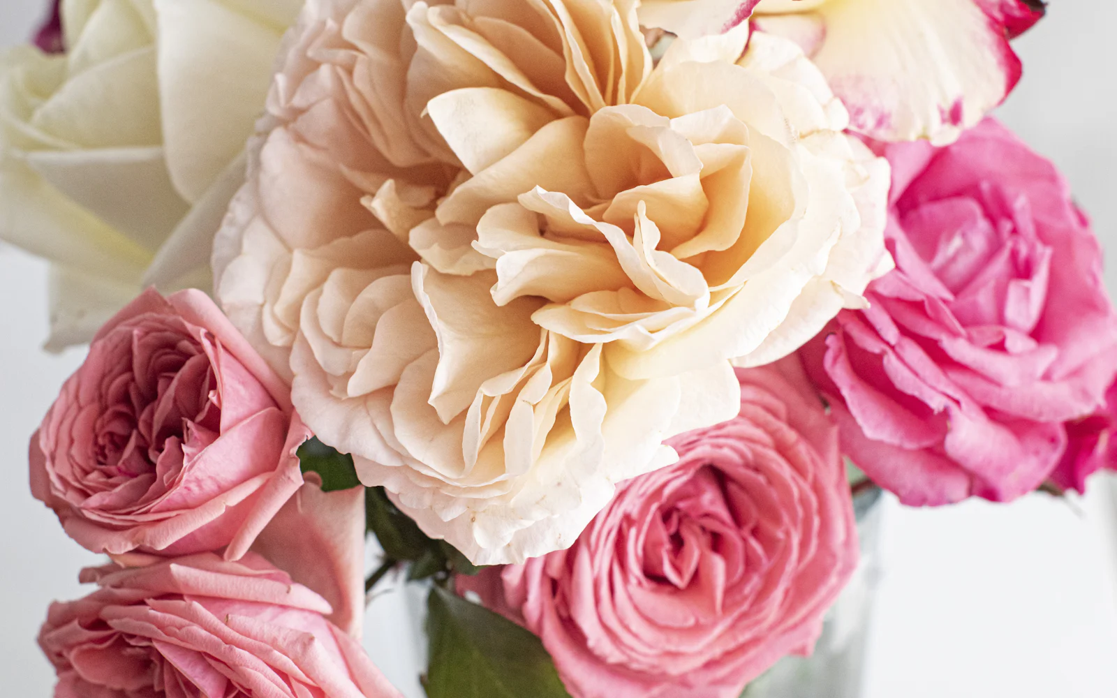 Peach, pink, and cream roses in a bouquet